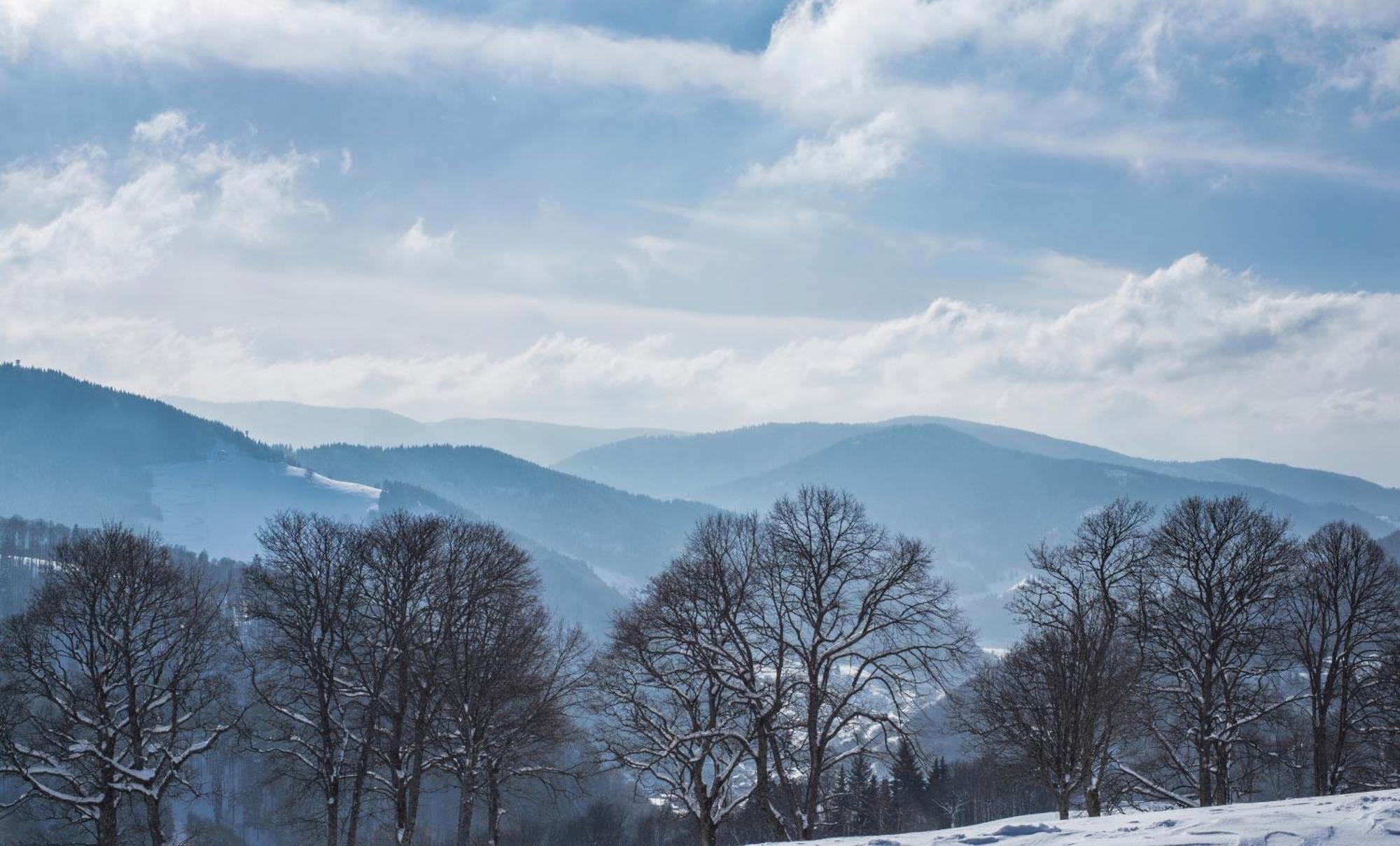 Haus Panoramablick - Fewo Storchennest, Hoechenschwand Luaran gambar